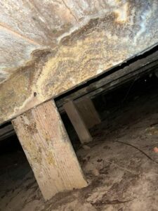 How To Maintain A Healthy Crawl Space
