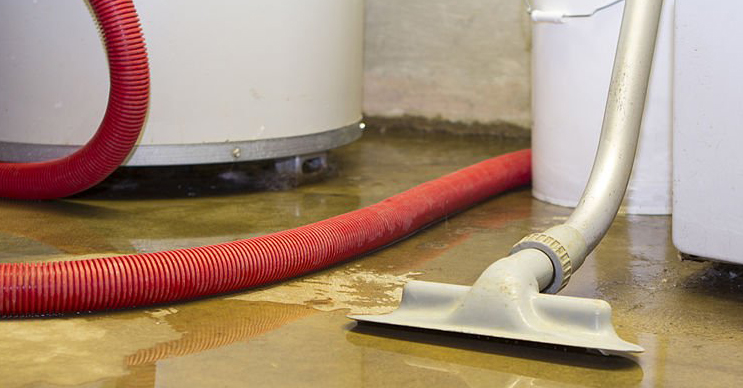 Crawl Space Water Removal: Preventing Mold and Moisture Issues