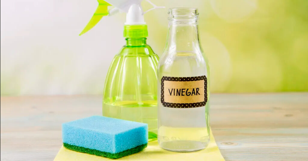 will vinegar kill mold