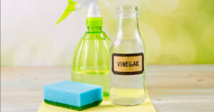 will vinegar kill mold