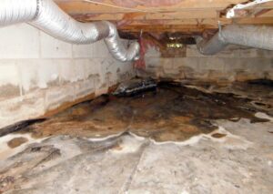 What is Water Damage Repair and Is It Important