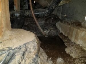 Ultimate Guide To Crawl Space Water Removal