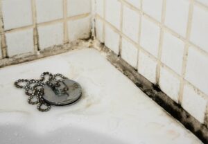 What Causes Bathroom Mold And How To Prevent It