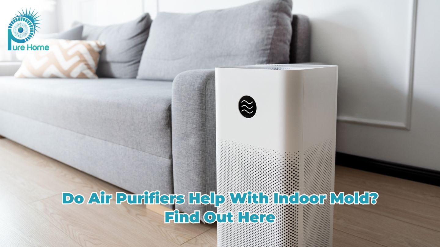 Do Air Purifiers Help with Indoor Mold? Find Out Here